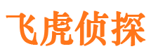 居巢市私家侦探